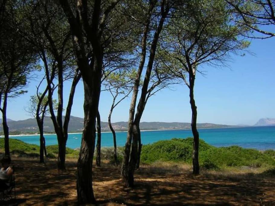 Villa Indipendente Al Mare Budoni Tanaunella Exteriér fotografie